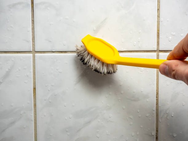 Best Residential Mold Removal  in Hayfield, VA
