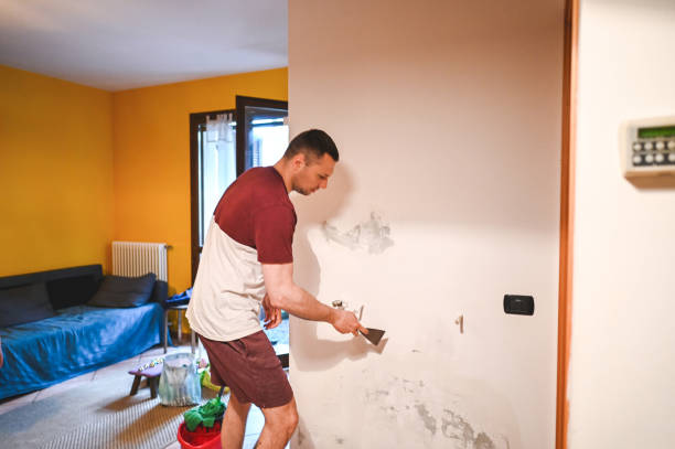Best Fast Mold Removal  in Hayfield, VA